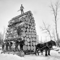 Best Logger Boots