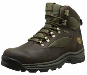 Timberland Chocorua Trail Gore-Tex Mid